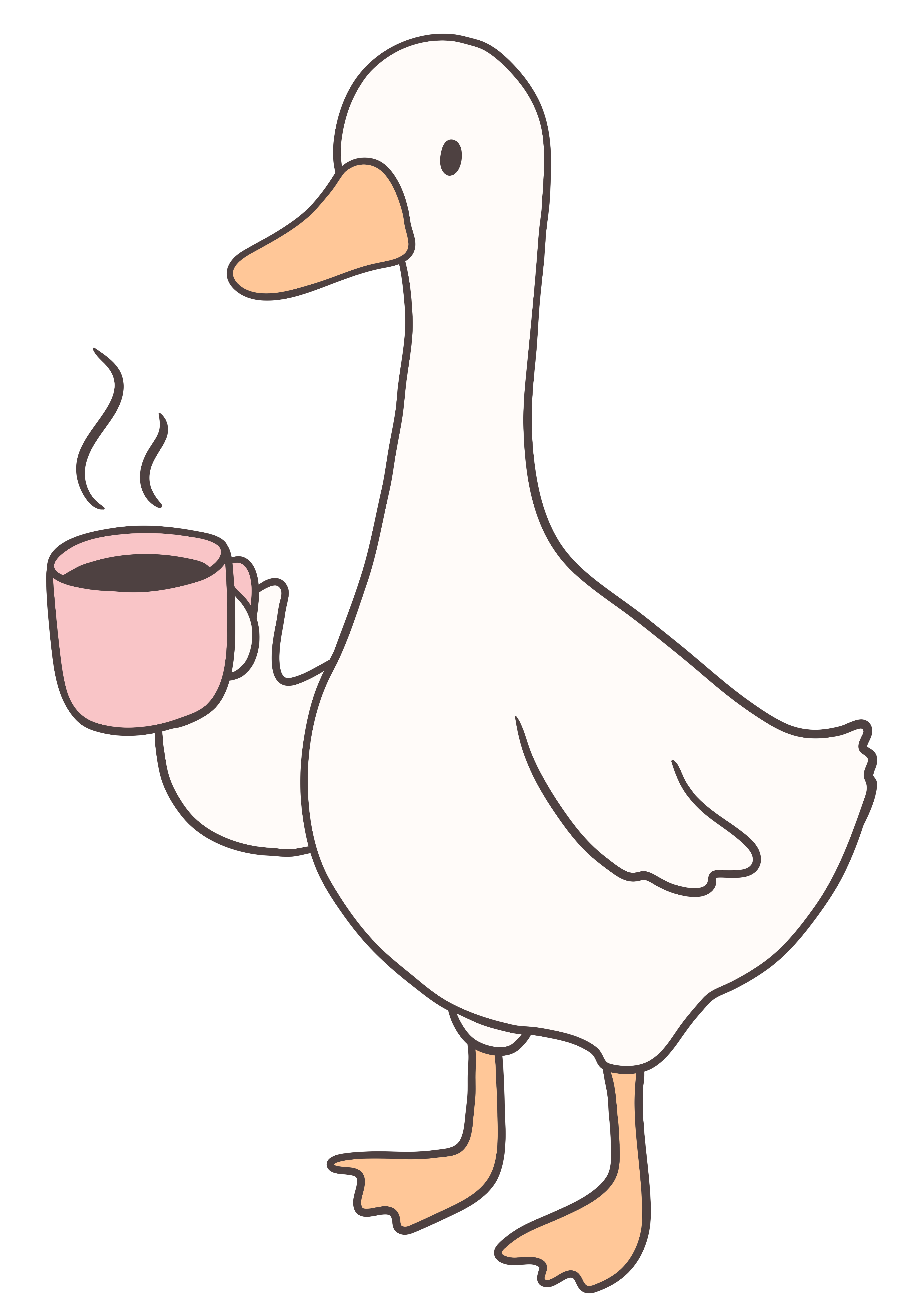 In2School Duck Mascot